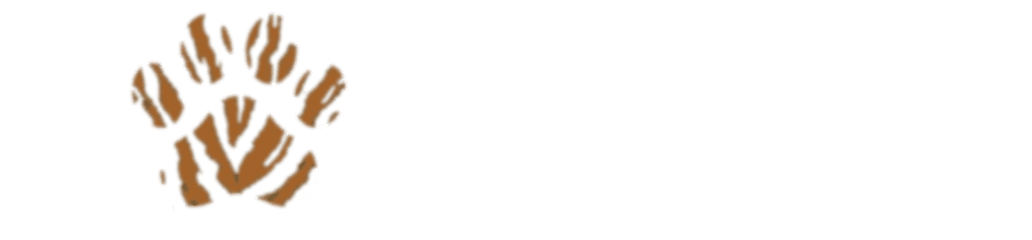 Curated Canopy Safaris